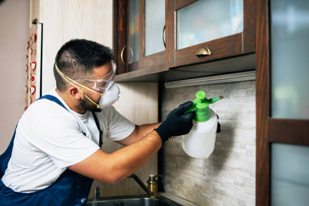 Best Exterminator Services  in Summerlin South, NV