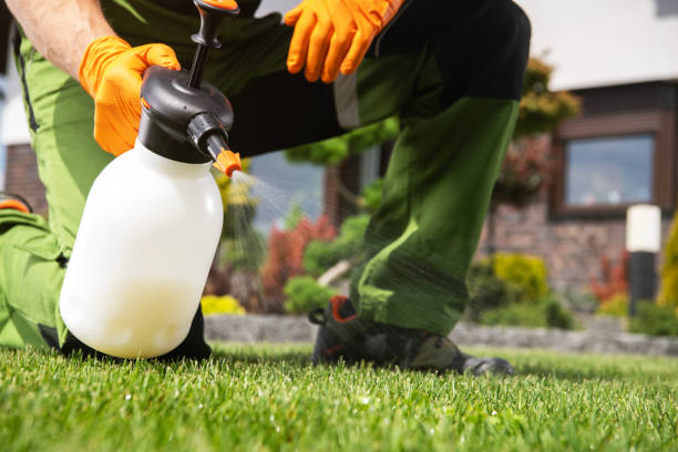 Best Pest Control Near Me in Summerlin South, NV